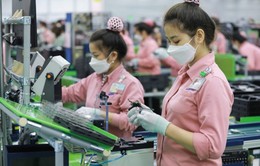 Việt Nam tiếp tục là điểm đến nổi bật của FDI ngành sản xuất