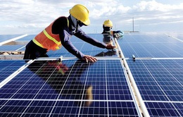 Bộ Kế hoạch và Đầu tư: Cơ chế khuyến khích phát triển điện mặt trời chung chung, chưa hấp dẫn