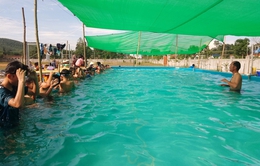 Nghệ An: Hỗ trợ, đầu tư 178 bể bơi và dạy bơi cho trẻ năm 2024
