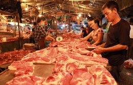 Giá lợn hơi gần mốc 70.000 đồng/kg