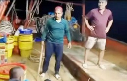 Kiên Giang: Giải cứu 3 ngư dân bị đánh trên tàu cá