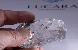 Thêm một viên kim cương trên 1.000 carat "lộ diện"