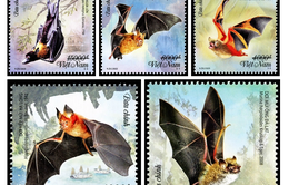 Phát hành bộ tem bưu chính về loài dơi