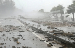 Ít nhất 14 người bị thương do bão Khanun tại Nhật Bản