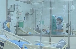 Hà Nội: Gia tăng ca mắc sốt xuất huyết nhập viện