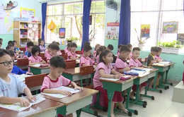 TP Hồ Chí Minh: Khẩn trương hoàn thành phân tuyến tuyển sinh đầu cấp