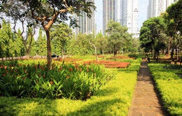 Indonesia xây thêm hàng chục công viên mới để cải thiện chất lượng không khí