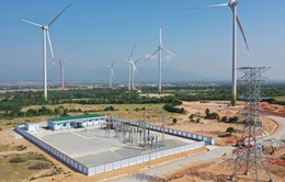 18 dự án năng lượng tái tạo chuyển tiếp phát hơn 952 MW lên lưới