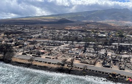 Việc tìm kiếm nạn nhân cháy rừng ở Hawaii hoàn thành 25%, số người tử vong tăng lên 99