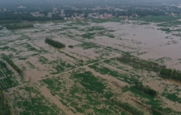 Giá gạo toàn cầu có thể tăng cao vì lũ lụt ở Trung Quốc