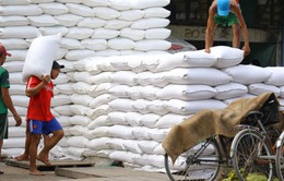 Myanmar đẩy mạnh xuất khẩu gạo