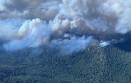 Tỉnh British Columbia của Canada tuyên bố tình trạng khẩn cấp khi cháy rừng lan rộng
