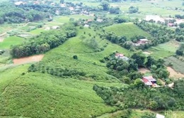 Nhiều làng cổ của Ba Vì bị chồng lấn với đất rừng