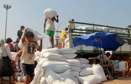 Myanmar hạn chế xuất khẩu gạo