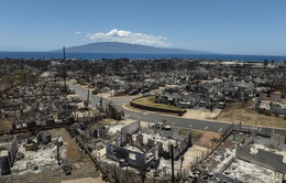 Mỹ công bố danh sách 388 người vẫn mất tích sau vụ cháy rừng ở Hawaii