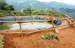 Lào Cai: 3 trẻ em tử vong tại hồ trữ nước