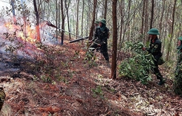 Nghệ An đã dập tắt được vụ cháy rừng tại Nam Đàn