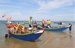 Hà Tĩnh: Tìm kiếm ngư dân mất tích khi đi câu mực trên biển