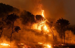 Hy Lạp huy động hơn 600 lính cứu hỏa tham gia chữa cháy rừng