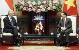 Việt Nam và Singapore đẩy mạnh hợp tác trong các lĩnh vực mới
