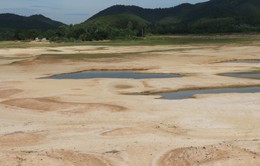 Hà Tĩnh: Nắng nóng kéo dài, các hồ đập thủy lợi cạn nước