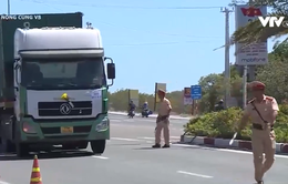Bình Định: Kiên quyết xử lý ô tô kinh doanh vận tải vi phạm