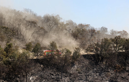 Lính cứu hỏa ở Hy Lạp chiến đấu với đám cháy rừng lớn nhất từng được ghi nhận ở EU