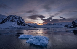Nam Cực "mất" tảng băng có kích thước bằng Argentina, các nhà khoa học ráo riết tìm lời giải thích