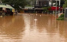 Cảnh báo ngập do mưa to tại nhiều khu vực ở Bù Đăng, Bình Phước