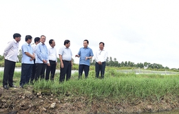 Phó Thủ tướng Trần Lưu Quang khảo sát 3 chương trình mục tiêu quốc gia tại Bạc Liêu