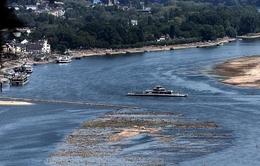 Sông Rhine cạn nước đe dọa kinh tế Đức