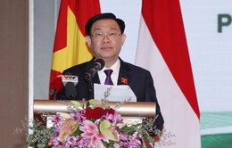 Thúc đẩy hợp tác thương mại, đầu tư Việt Nam - Indonesia