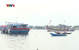 Hỗ trợ ngư dân vươn khơi phát triển kinh tế biển