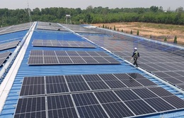 Yêu cầu EVN đề xuất giải pháp xử lý 14 dự án điện mặt trời áp sai giá