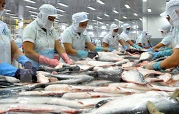 Cơ hội gia tăng kim ngạch xuất khẩu cá tra
