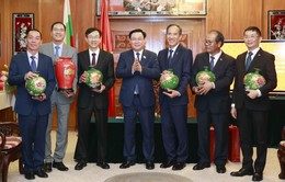 Chủ tịch Quốc hội gặp các Đại sứ Việt Nam và cộng đồng người Việt tại một số nước châu Âu