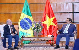 Thủ tướng: Quan hệ Việt Nam - Brazil không ngừng phát triển