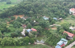 Hà Nội vẫn chậm báo cáo kết quả rà soát đất rừng