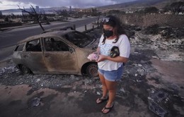 Người dân Hawaii trở về nơi từng là nhà, bắt tay xây dựng cuộc sống mới sau vụ cháy kinh hoàng