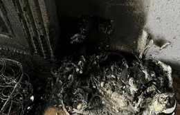 Cháy nhà nghi do chập sạc điện thoại ở Hà Nội