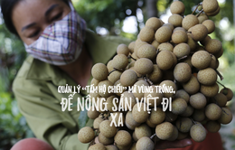 Quản lý  “tấm hộ chiếu” mã vùng trồng, để nông sản Việt đi xa