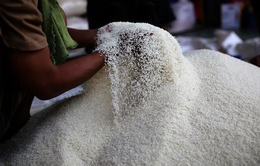 Indonesia thúc đẩy các biện pháp giảm giá gạo