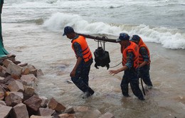 Phú Quốc: Sạt lờ bờ biển, huy động chiến sĩ giúp dân kè biển