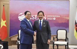 Quan hệ Việt Nam và Brunei phát triển ấn tượng