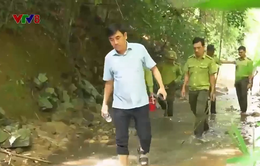 Bình Thuận: Họp báo thông tin về khai thác rừng làm hồ chứa Ka Pét