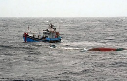 Cứu 12 thuyền viên trên tàu cá bị chìm