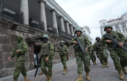 Ecuador cảnh báo "tình trạng chiến tranh" trong bối cảnh bạo lực gia tăng
