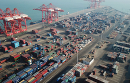 Xuất khẩu Trung Quốc được dự báo tiếp tục phục hồi