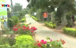 Đắk Nông: Rực rỡ đường hoa nông thôn mới