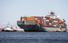 Cước vận tải biển tăng vọt: Doanh nghiệp xuất khẩu chủ động phương án